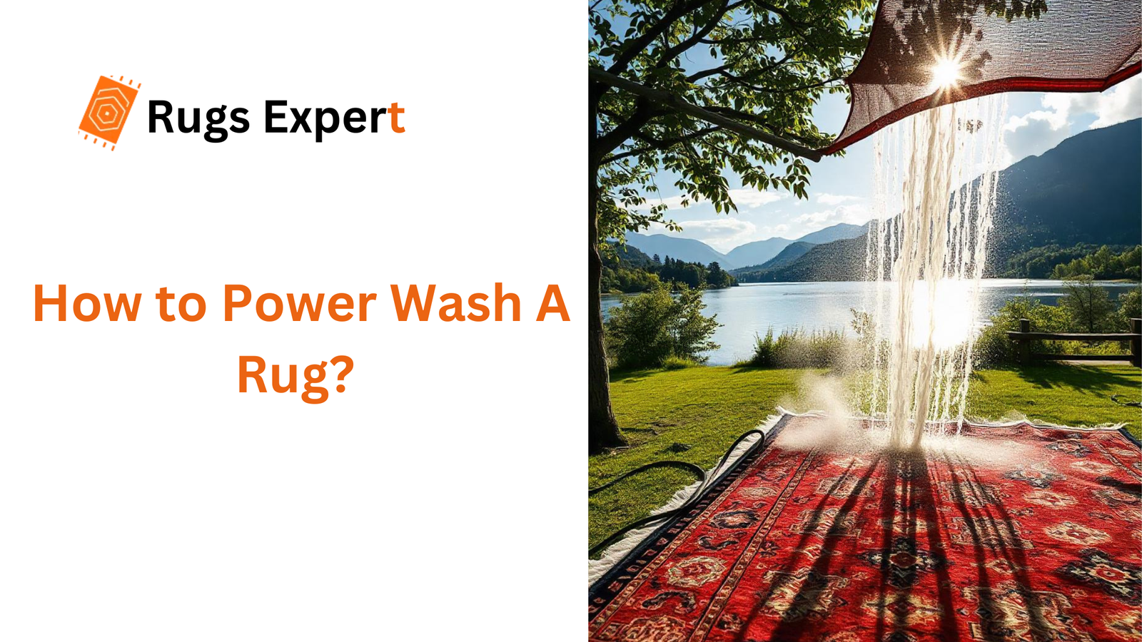 text "how to power wash a rug" and rug is being washed in the beautiful nature