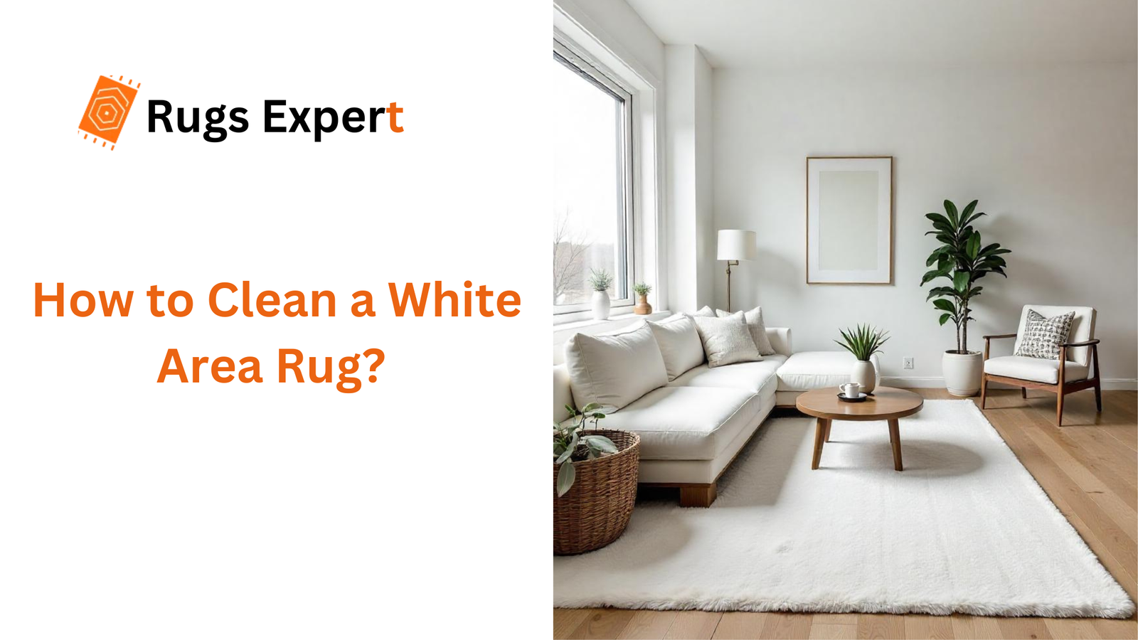 text "How to Clean a White Area Rug" and a beautiful white living room with white area rug