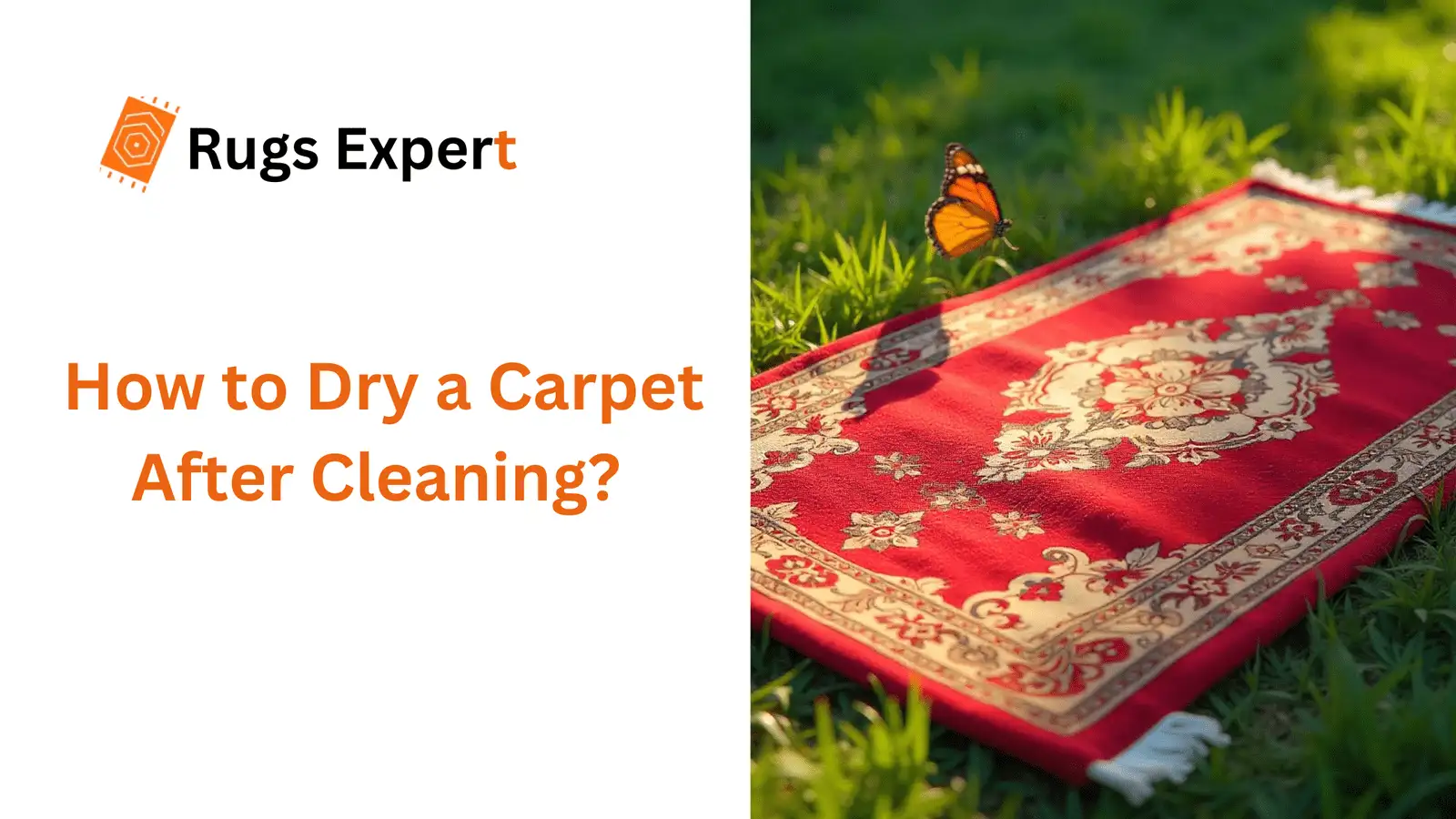 image containing text "how to dry a carpet after cleaning" and a butterfly on the carpet laying on the grass