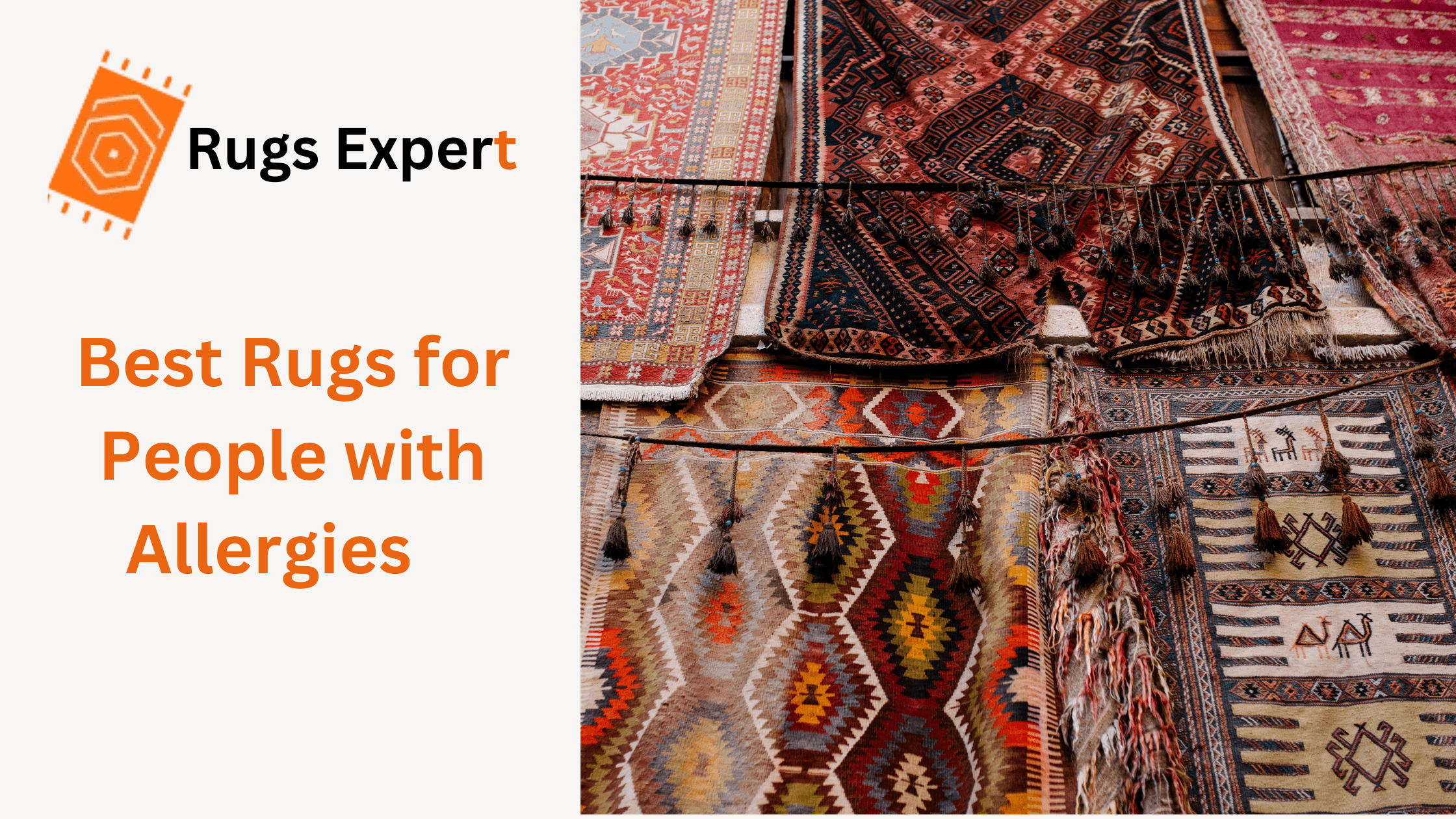 Text "best rugs for People with Allergies" and different types of rugs in the exhibition